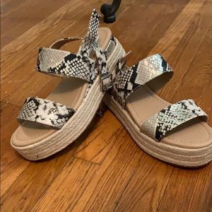 Steve Madden- Snake skin sandals
